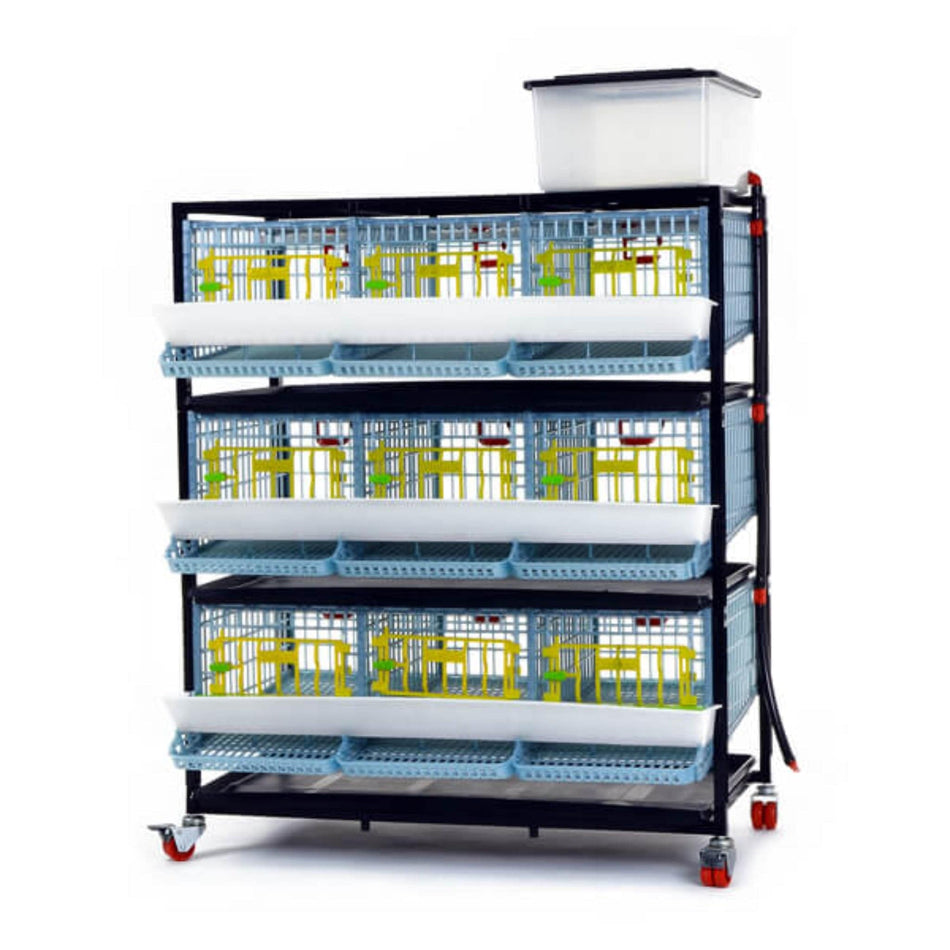 Hatching Time Animal Husbandry Quail Cage - 3 Layer