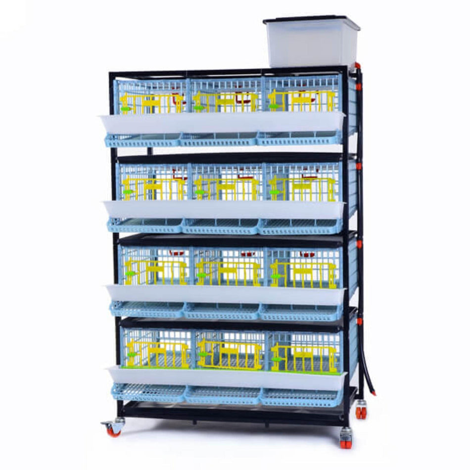 Hatching Time Animal Husbandry Quail Cage - 4 Layer