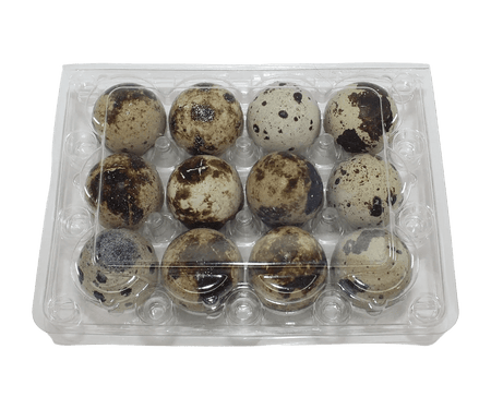 NWQuailFarm Jumbo Quail Egg Cartons 12-cell Jumbo Quail Egg Cartons (3x4)