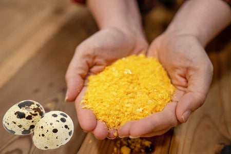 NWQuailFarm Organic Quail Eggs Bulk Freeze-Dried Quail Eggs