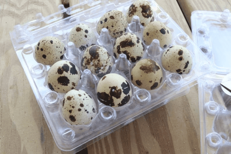 NWQuailFarm Organic Quail Eggs Fresh n Tasty Quail Eggs x24