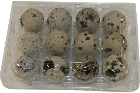 NWQuailFarm Quail Egg Cartons 12-cell Large Jumbo Quail Egg Cartons (3x4)