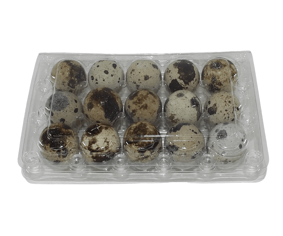 NWQuailFarm Quail Egg Cartons 15-cell Jumbo Quail Egg Cartons (3x5)