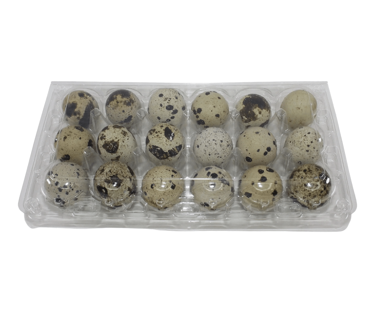 NWQuailFarm Quail Egg Cartons 18-cell Large Jumbo Quail Egg Cartons (3x6)