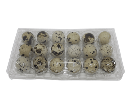 NWQuailFarm Quail Egg Cartons 18-cell Large Jumbo Quail Egg Cartons (3x6)