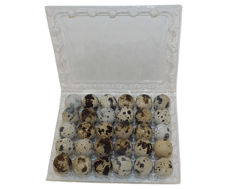 NWQuailFarm Quail Egg Cartons 30-cell Jumbo Quail Egg Cartons (5x6)