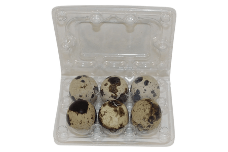 NWQuailFarm Quail Egg Cartons 6-cell Jumbo Quail Egg Cartons (2x3)