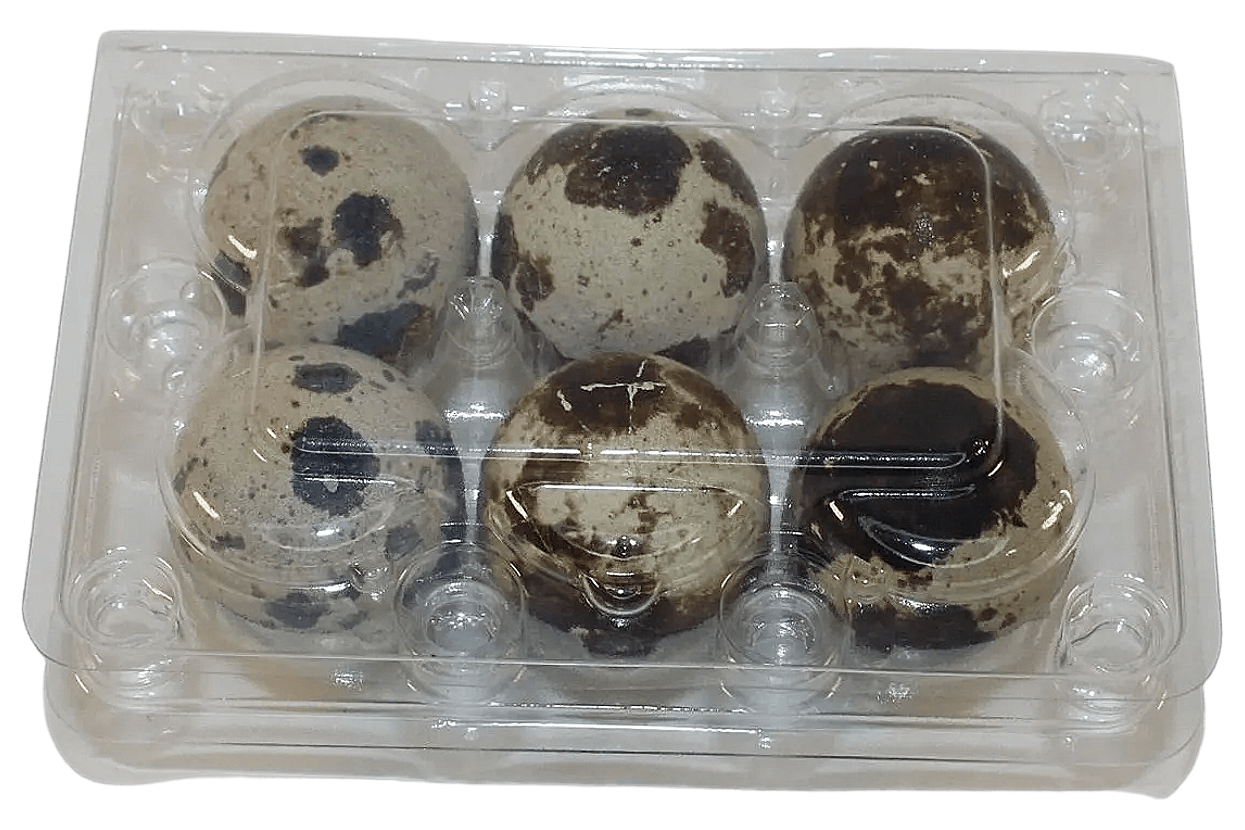 NWQuailFarm Quail Egg Cartons 6-cell Jumbo Quail Egg Cartons (2x3)
