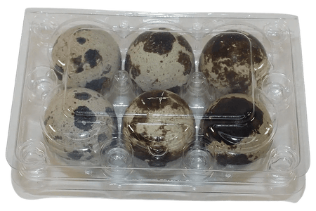 NWQuailFarm Quail Egg Cartons 6-cell Jumbo Quail Egg Cartons (2x3)