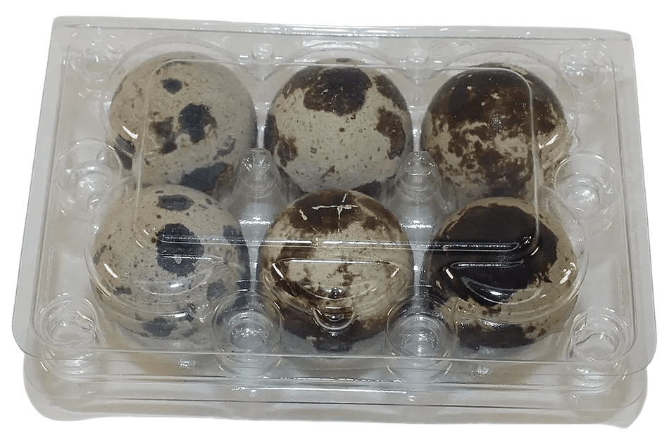 NWQuailFarm Quail Egg Cartons 6-cell Jumbo Quail Egg Cartons (2x3)