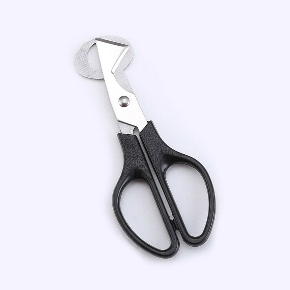 NWQuailFarm Quail Egg Scissors Black Quail Egg Scissors