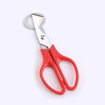 NWQuailFarm Quail Egg Scissors Red Quail Egg Scissors