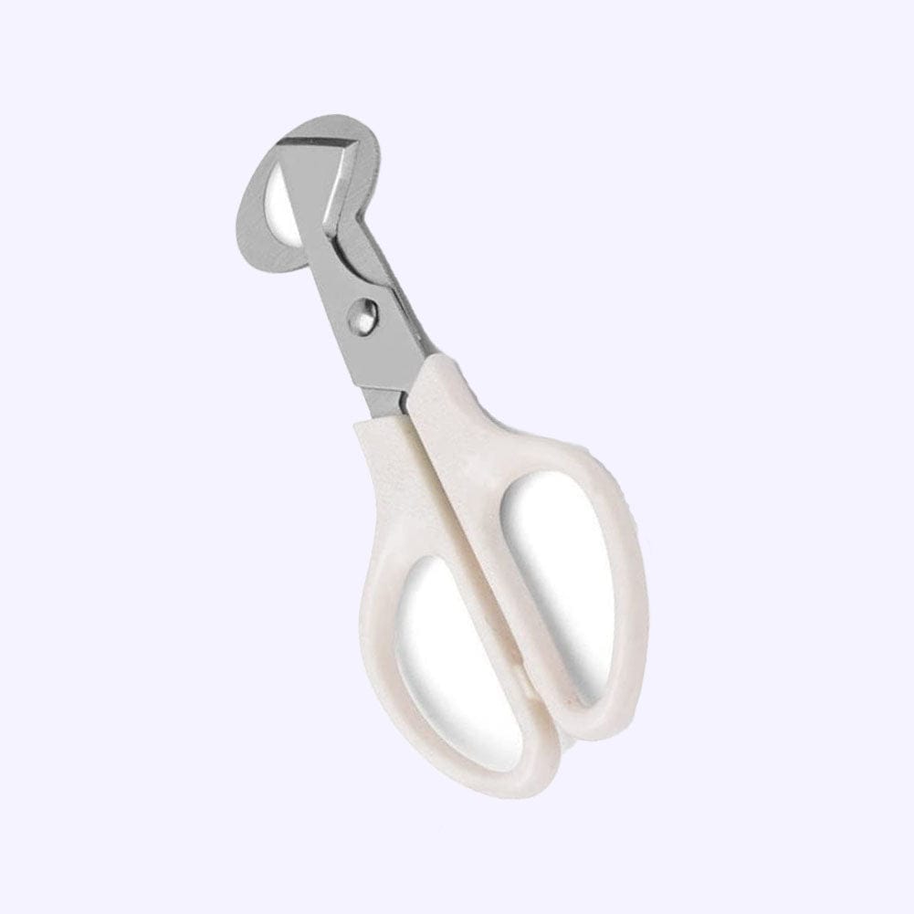 NWQuailFarm Quail Egg Scissors White Quail Egg Scissors