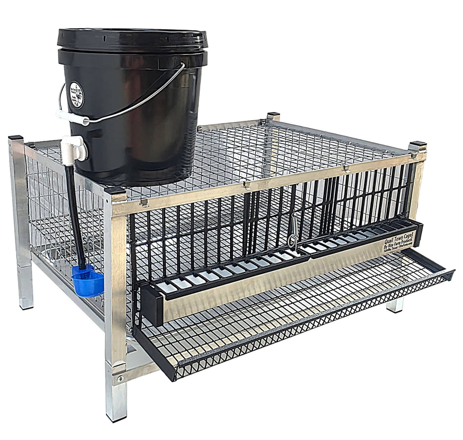 Quail Town 4 Inch Tabletop Leg Kit, 1 Layer Cage with black 2-gallon water reservoir