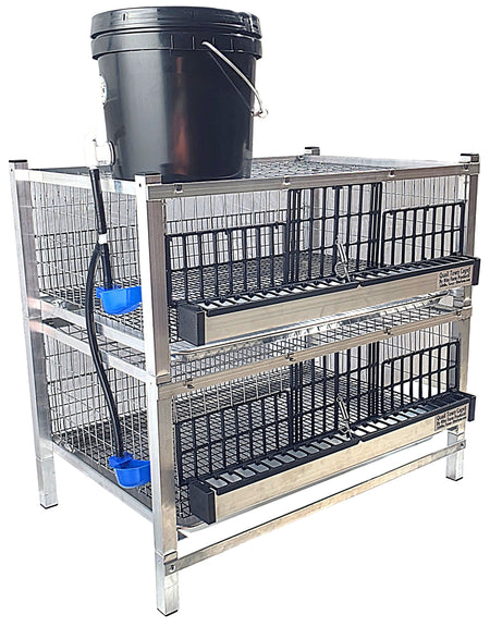 Quail Town 4 Inch Tabletop Leg Kit, 2 Grow Out Cages with black 2-gallon water reservoir