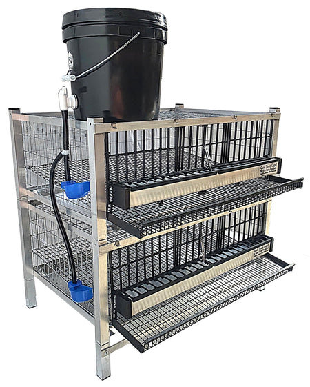 Quail Town 4 Inch Tabletop Leg Kit, 2 Layer Cages with black 2-gallon water reservoir