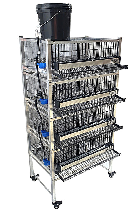 Quail Town 4 Inch Tabletop Leg Kit, 4 Layer Cages with black 2-gallon water reservoir