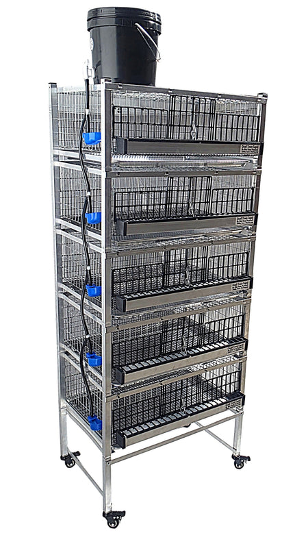 Quail Town 4 Inch Tabletop Leg Kit, 5 Grow Out Cages with black 2-gallon water reservoir