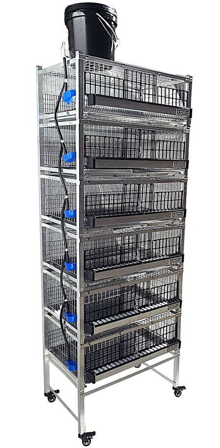 Quail Town 4 Inch Tabletop Leg Kit, 6 Grow Out Cages with black 2-gallon water reservoir