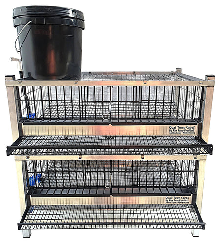 Quail Town 4 Inch Tabletop Leg Kit, 1 Layer & 1 Grow Out Cage with clear 2-gallon water reservoir