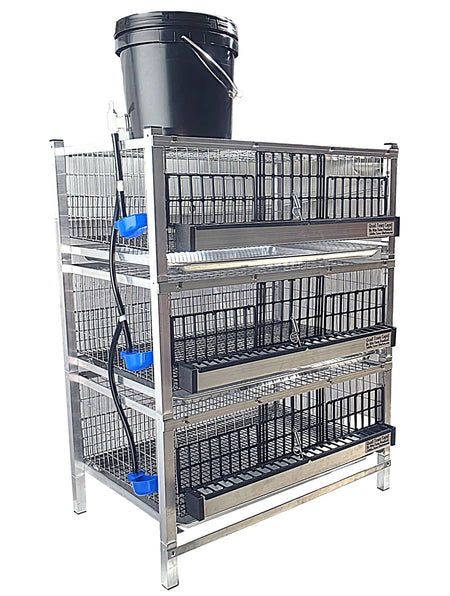 Quail Town 4 Inch Tabletop Leg Kit, 3 Grow Out Cages with clear 2-gallon water reservoir