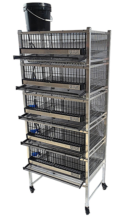 Quail Town 4 Inch Tabletop Leg Kit, 3 Layer & 2 Grow Out Cages with clear 2-gallon water reservoir