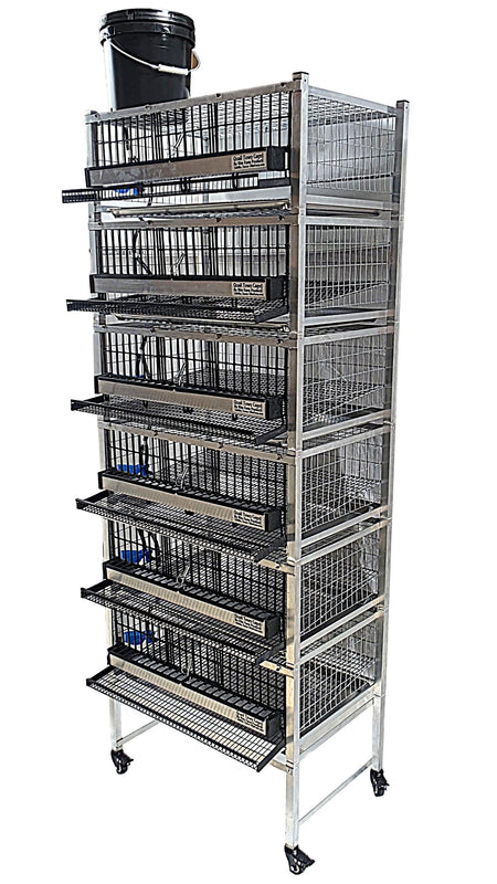 Quail Town 4 Inch Tabletop Leg Kit, 4 Layer & 2 Grow Out Cages with clear 2-gallon water reservoir