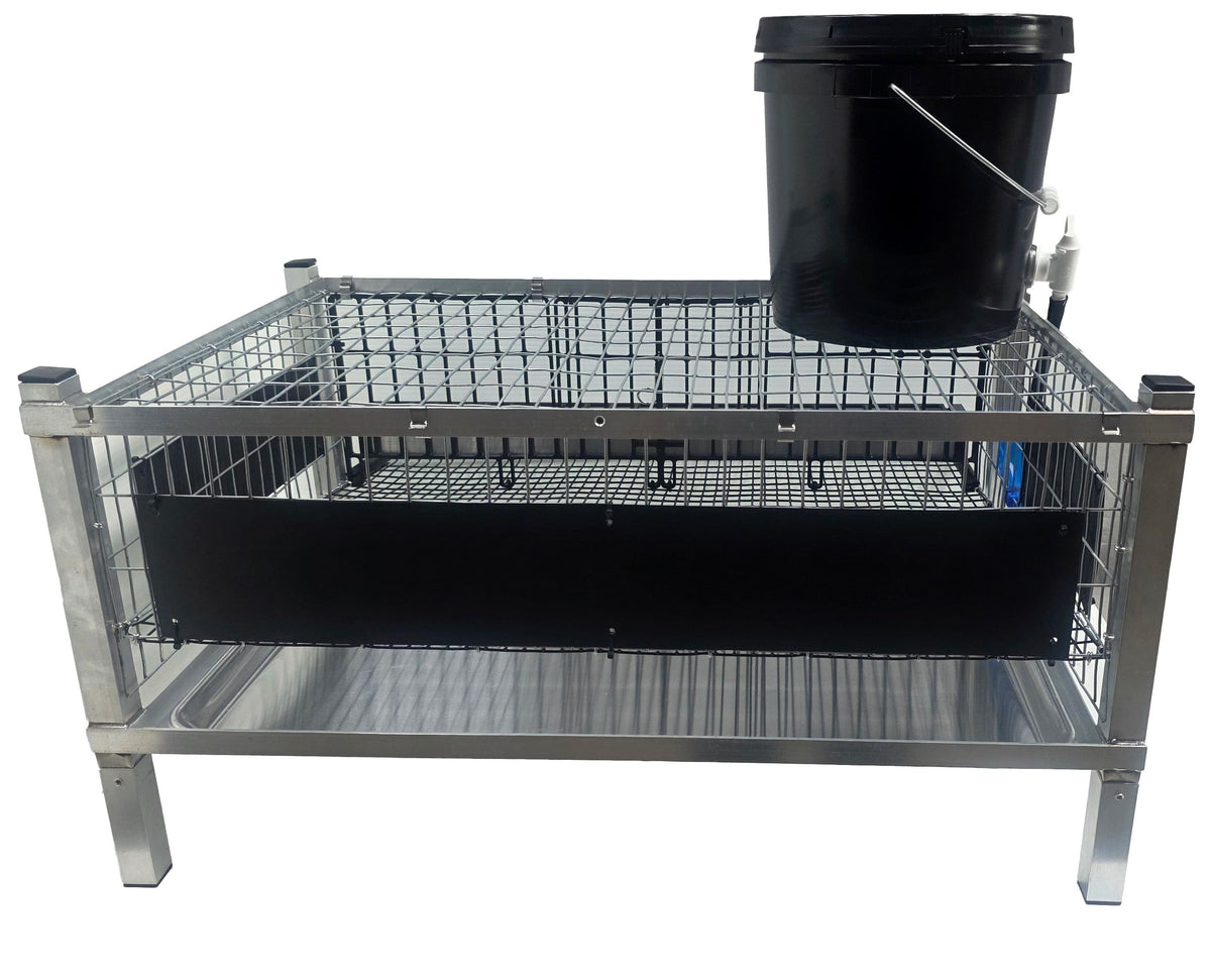 Rear and side quail cage guards for controlling litter mess