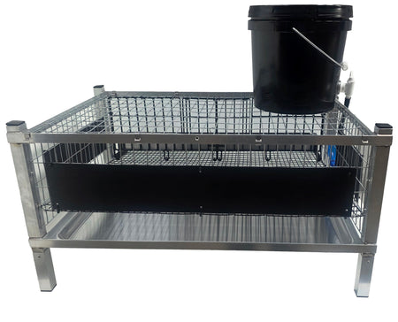 Rear and side quail cage guards for controlling litter mess