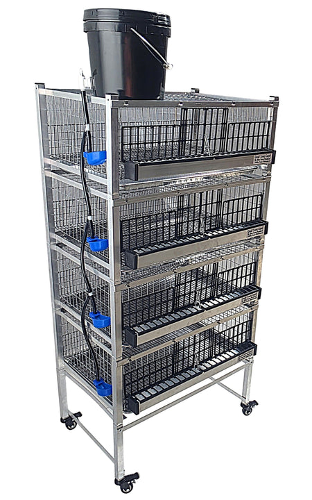 Quail Town modular Coturnix quail grow-out cage with PVC-coated flat floor
