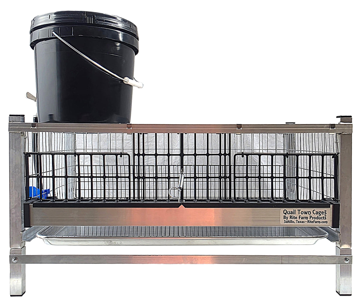 Quail Town modular Coturnix quail grow-out cage with PVC-coated flat floor
