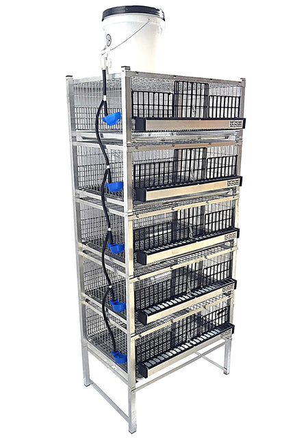 Quail Town modular quail cage system – clear reservoir product image