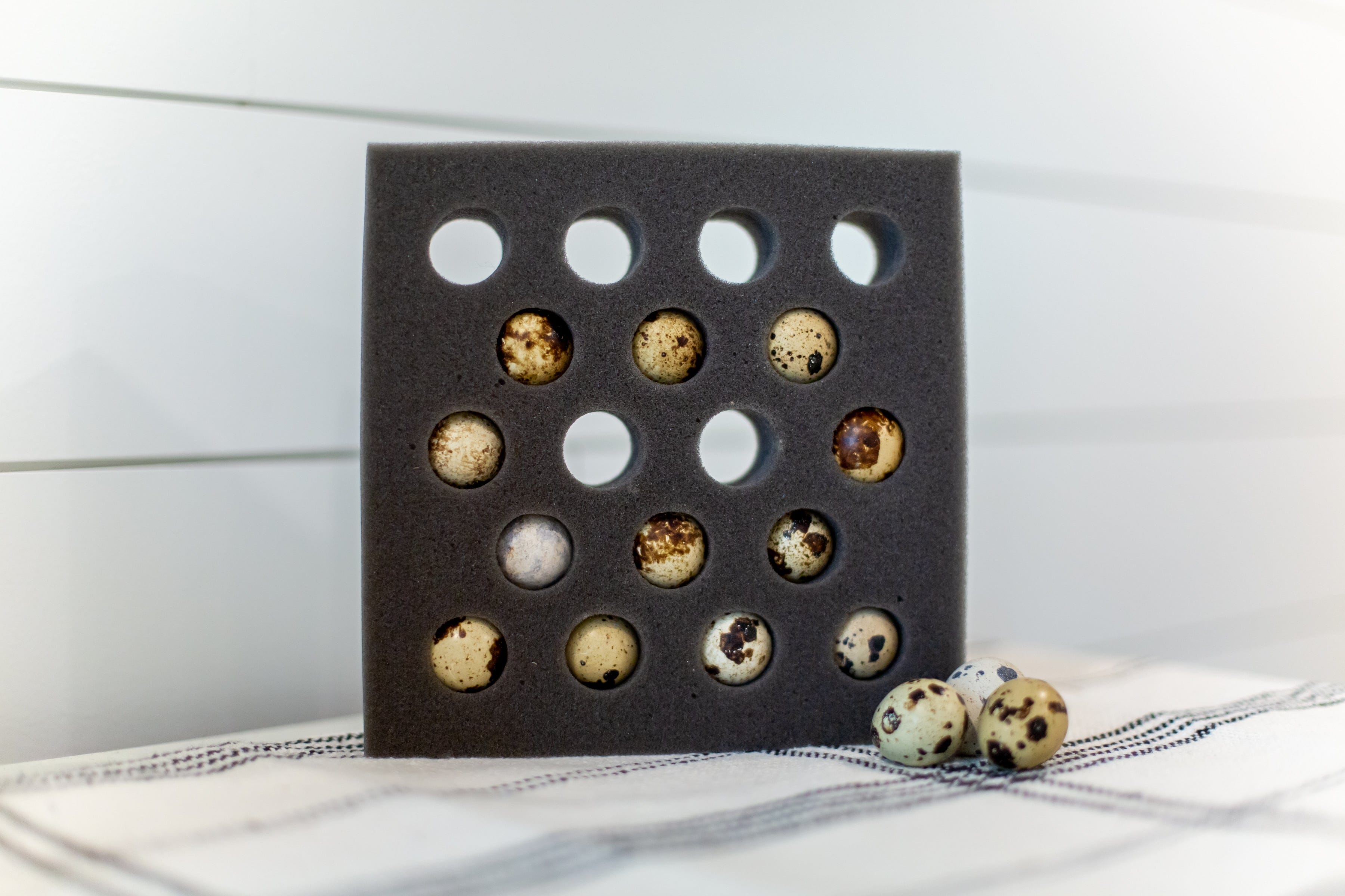 Foam Egg Shippers 18 Egg Quail Foam Shipper (Standard Size)