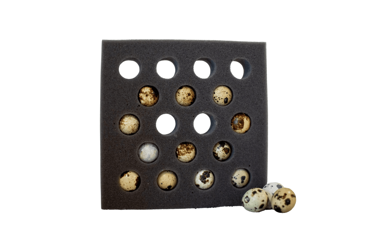 Foam Egg Shippers Packing Materials 54 Quail Egg Foam Shipper Kit