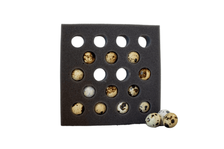 Foam Egg Shippers Packing Materials 54 Quail Egg Foam Shipper Kit