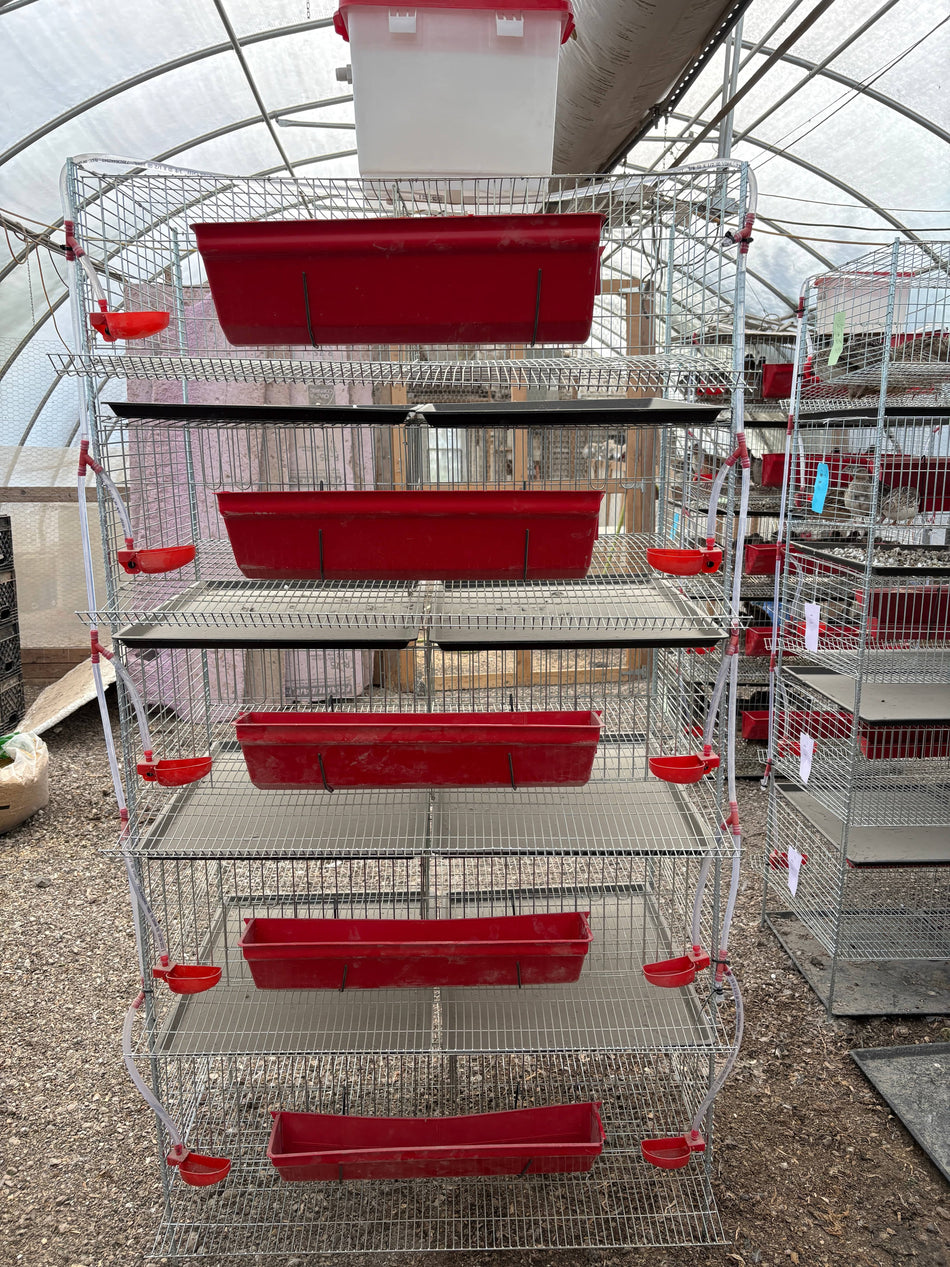 NWQuailFarm Cages Stacking Cages for Quail 5 Tier Stacking Cages for Quail - PREORDER!  Available for shipping around MAY 4th