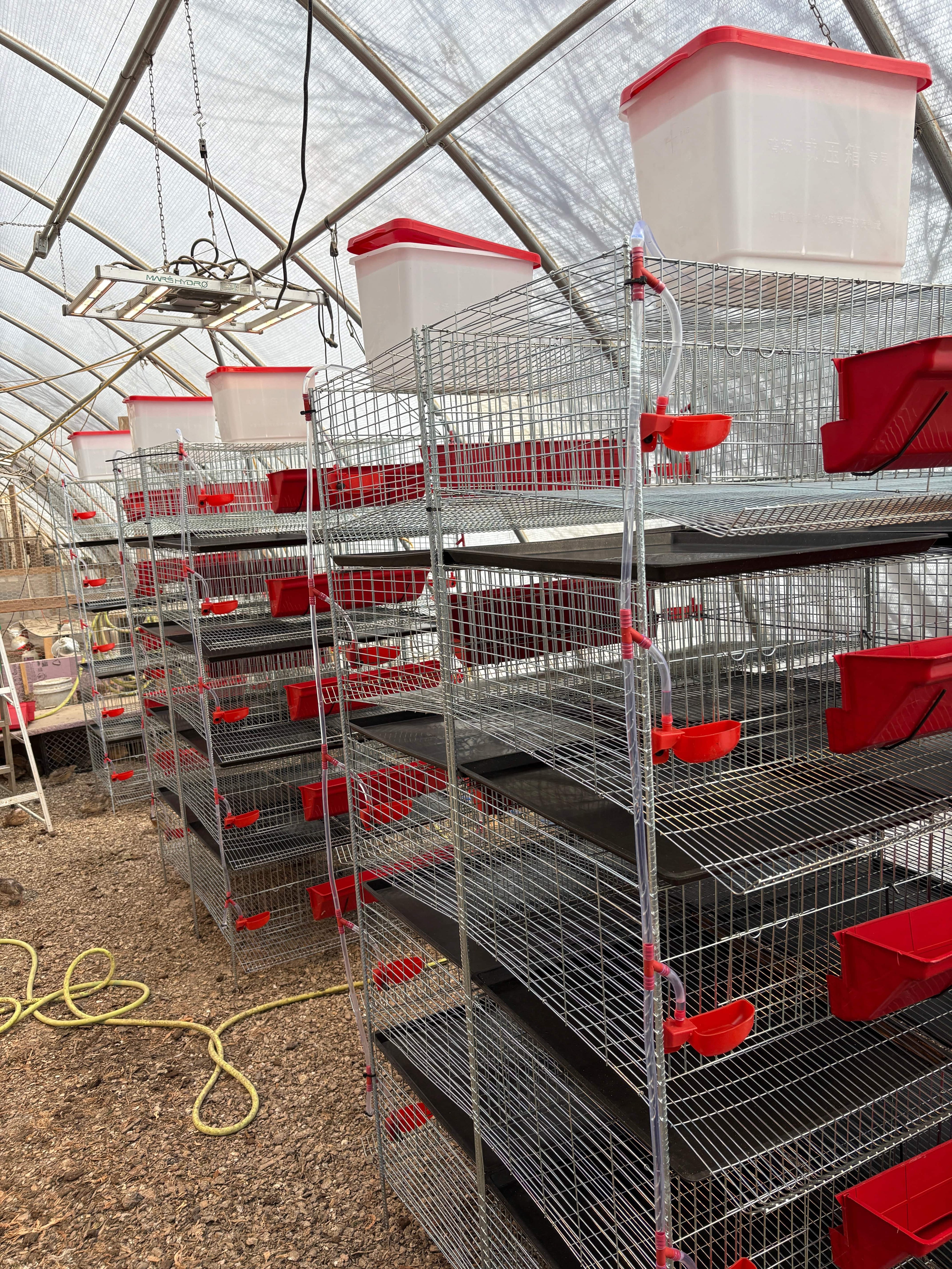 NWQuailFarm Cages Stacking Cages for Quail - PREORDER!  Available for shipping around MAY 4th