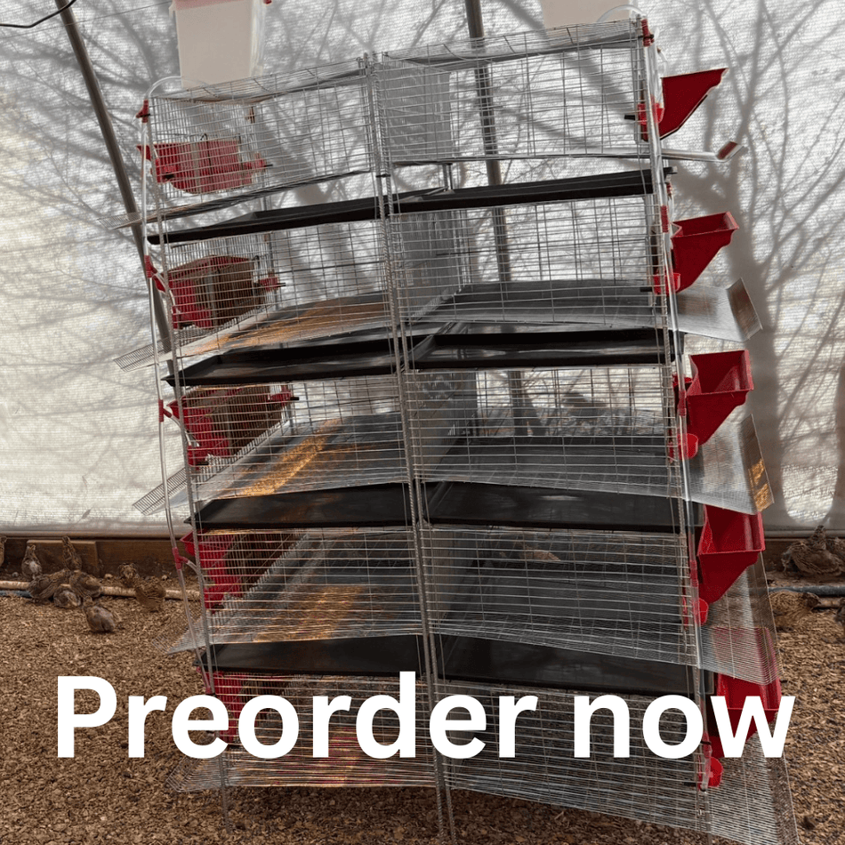 NWQuailFarm Cages Stacking Cages for Quail - PREORDER!  Available for shipping around MAY 4th