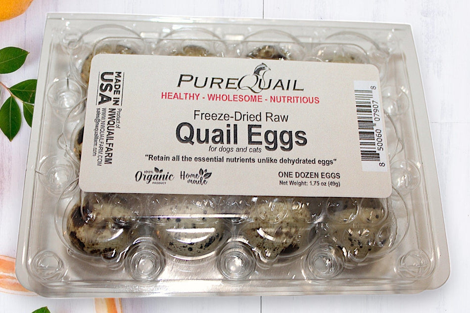 NWQuailFarm Dog Cat Treats Freeze-Dried Organic Quail Egg for Dog Cat Pets Treats or Meal Topper - 1 Dozen (12 Eggs)