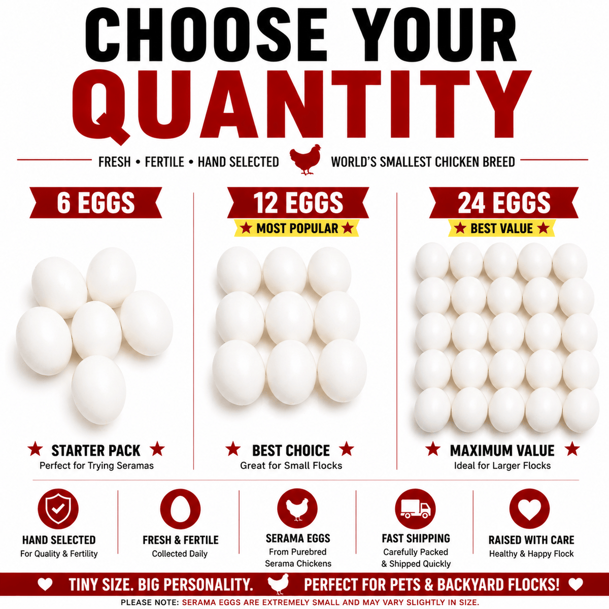 NWQuailFarm Hatching Eggs Serama Chicken Hatching Eggs – NPIP Certified – High Fertility – Free Shipping