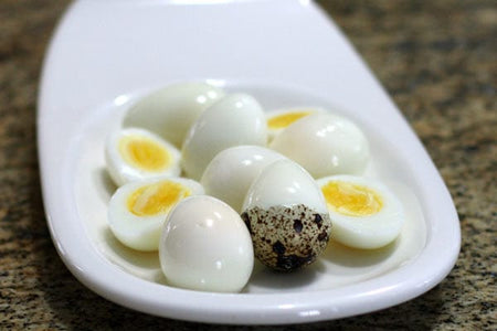 NWQuailFarm Organic Quail Eggs 4 Dozen Fresh n Tasty Organic Quail Eggs