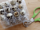 NWQuailFarm Organic Quail Eggs Fresh n Tasty Quail Eggs x24