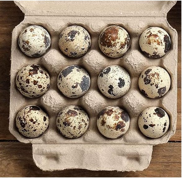 NWQuailFarm Organic Quail Eggs Pulp Fresh n Tasty Organic Quail Eggs x12