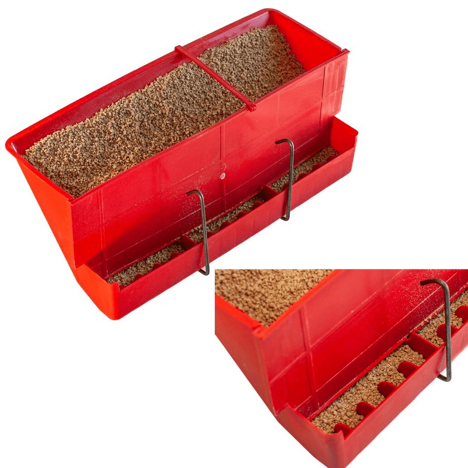 A closer look at Customizable Quail Feeders For Dogs With Unique Requirements