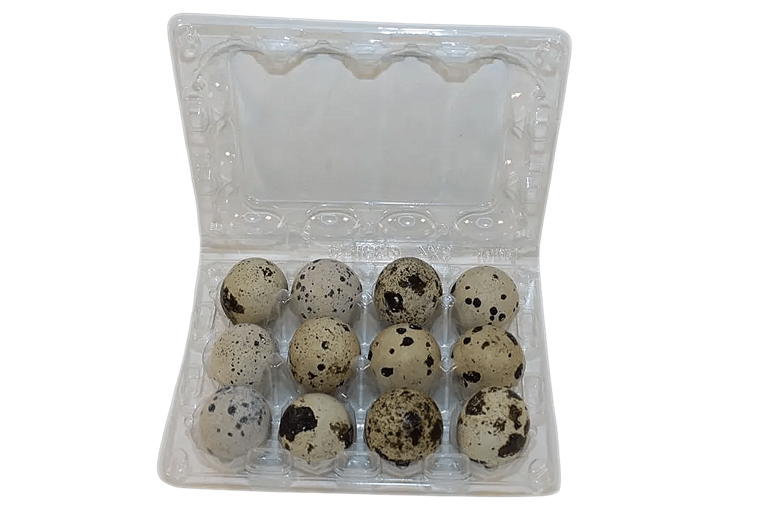 NWQuailFarm Quail Egg Cartons 12-cell Large Jumbo Quail Egg Cartons (3x4)
