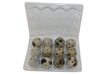 NWQuailFarm Quail Egg Cartons 12-cell Large Jumbo Quail Egg Cartons (3x4)