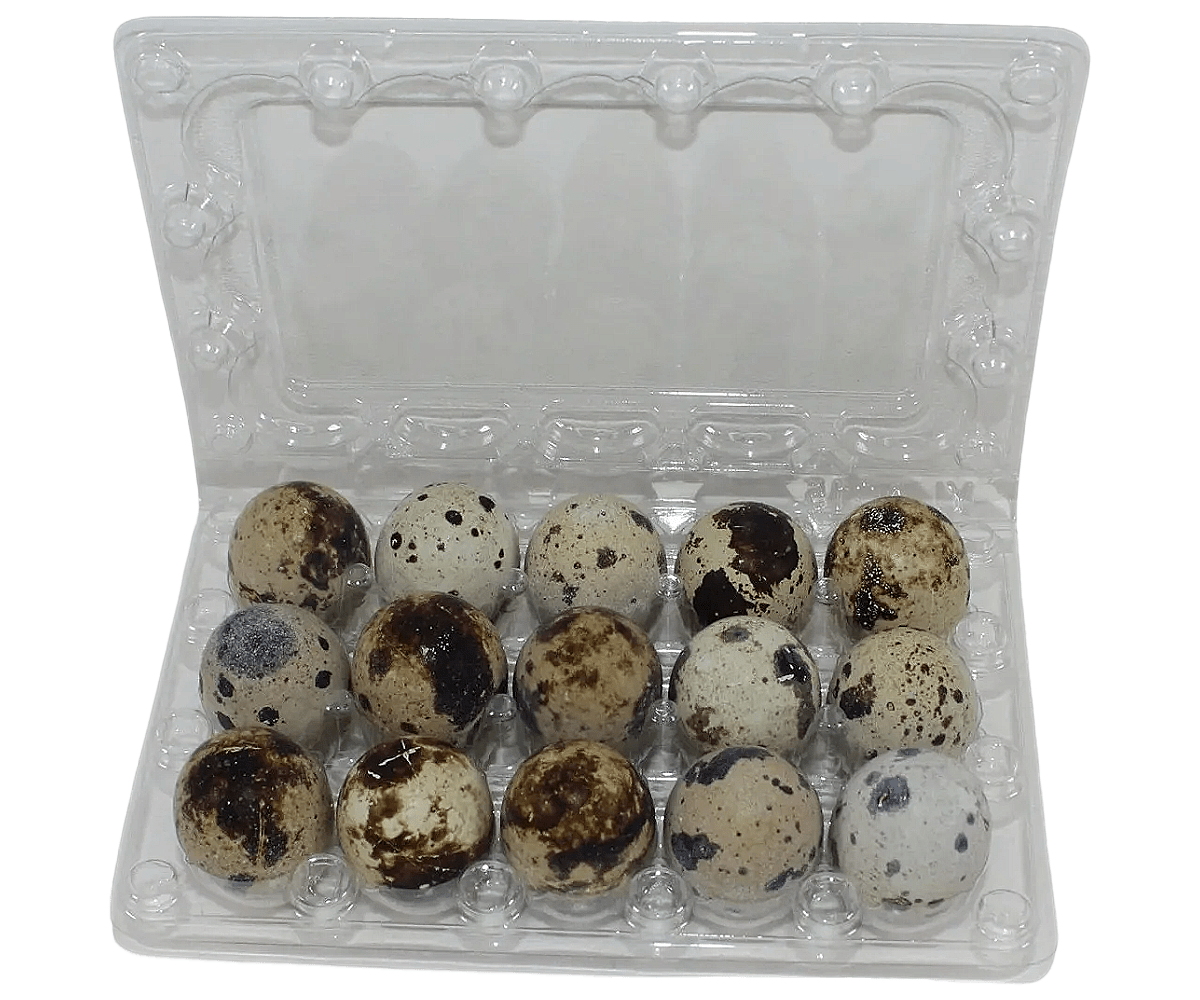 NWQuailFarm Quail Egg Cartons 15-cell Jumbo Quail Egg Cartons (3x5)