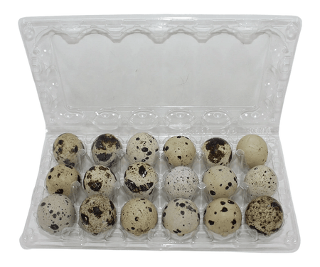 NWQuailFarm Quail Egg Cartons 24-cell Large Jumbo Quail Egg Cartons (4x6)