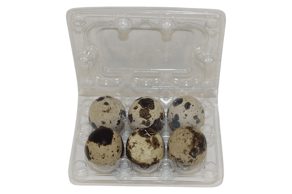 NWQuailFarm Quail Egg Cartons 6-cell Jumbo Quail Egg Cartons (2x3)