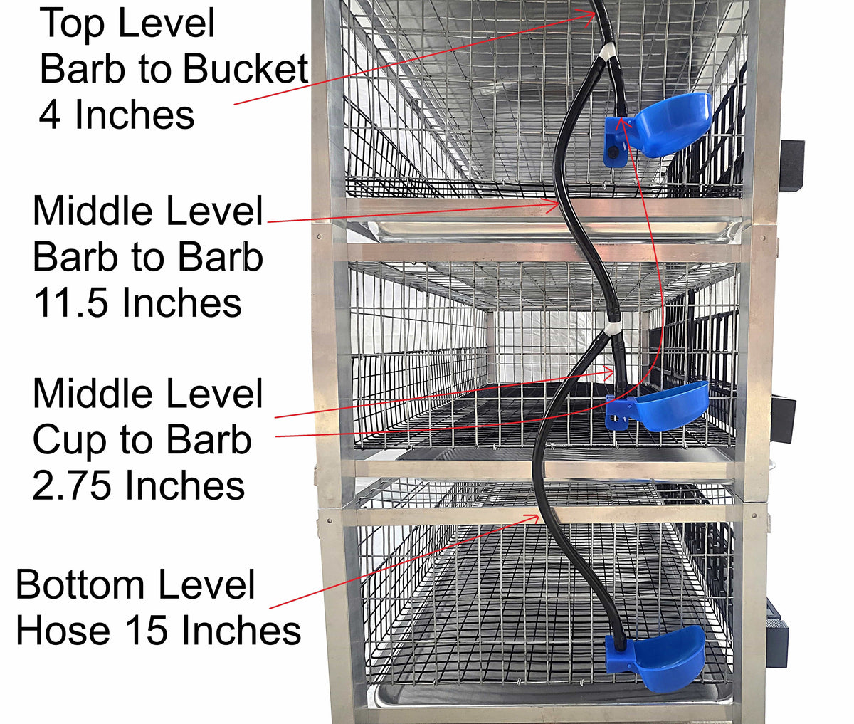 Quail Town modular Coturnix layer cage with front egg rollout and PVC-coated wire flooring